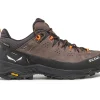 ALP TRAINER 2 GTX 7953 cord black
