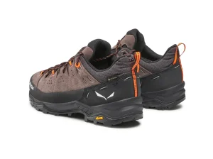 ALP TRAINER 2 GTX 7953 cord black