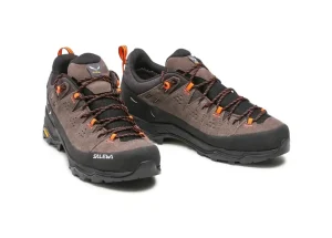 ALP TRAINER 2 GTX 7953 cord black