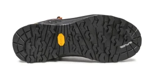 ALP TRAINER 2 GTX 7953 cord black