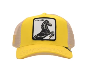 BASEBALL CAP STALLION YELLOW