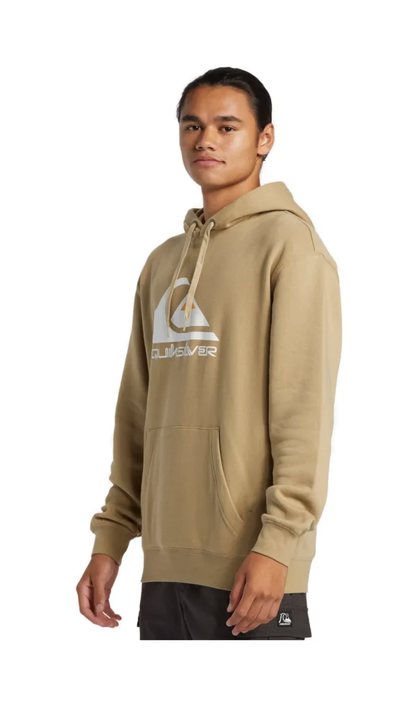 FELPA BIG LOGO HOODIE BEIGE AQYFT03356 TKA0
