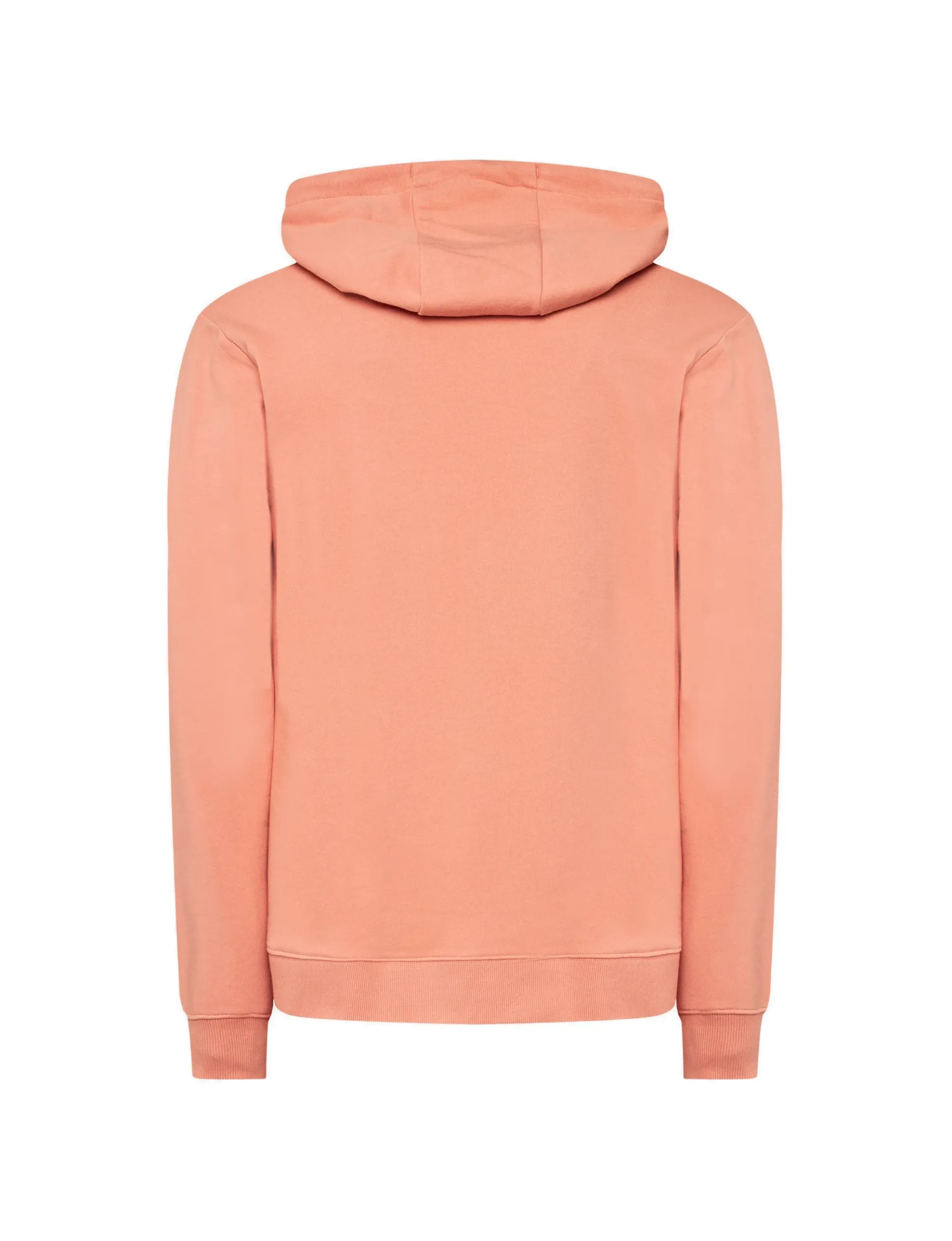 felpa_circle_up_hoodie_ca_1.webp FELPA CIRCLE UP HOODIE CANYON EQYSF03151 MJR0