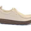 LACE UP SHOES CHAT IVORY