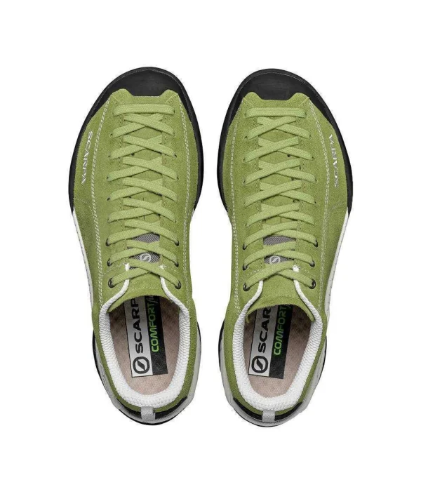 MOJITO ALOE BM SPIDER 32605-350-238 DONNA