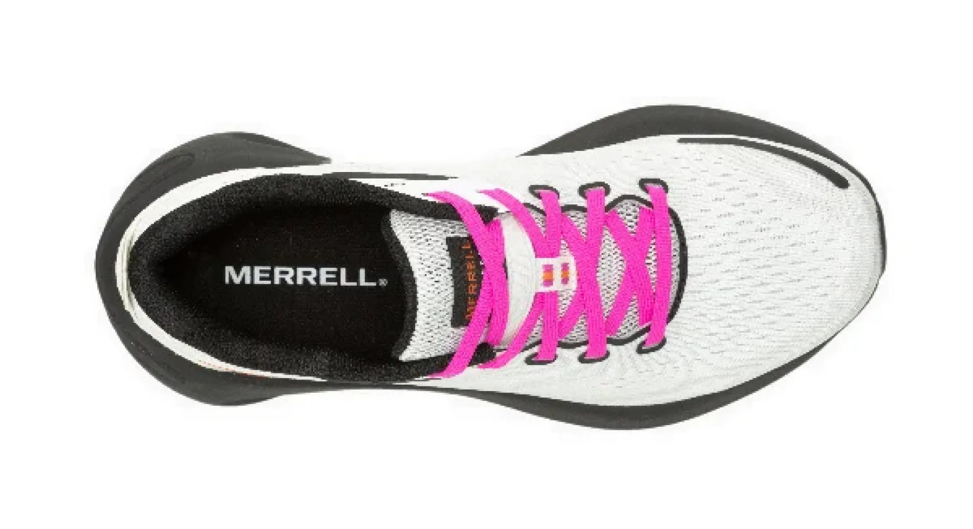 morphlite_j_white_pink_or_2.webp MORPHLITE J68230 white pink orange