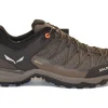 MS MTN TRAINER LITE GTX WALLNUT FLUO ORANGE