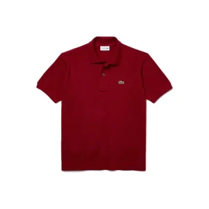 1212 476 POLO SS COTONE GRANATA