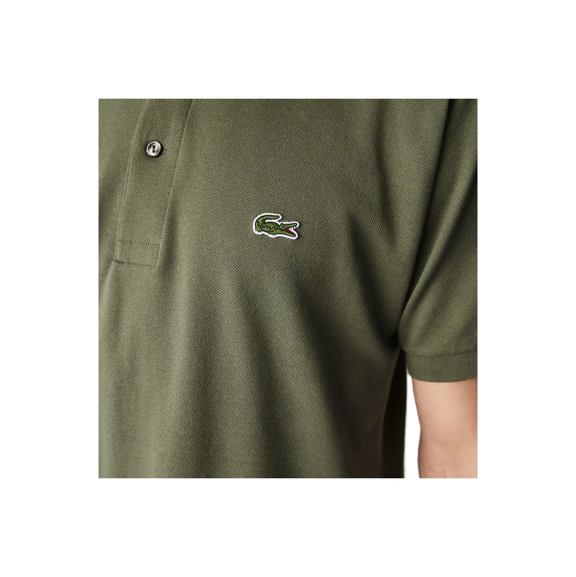 polo_ss__cotone_verde_c_2.webp 1212 316 POLO SS COTONE VERDE CACHI