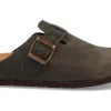 SABOT 11 VEGAS IMB CRAZY HORSE BOSCO