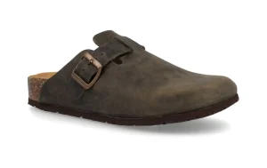 SABOT 11 VEGAS IMB CRAZY HORSE BOSCO