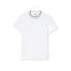 TH8174 001 T-SHIRT IN PIQUÉ ELASTICIZZATO CON COLLETTO A RIGHE BIANCO VERDE