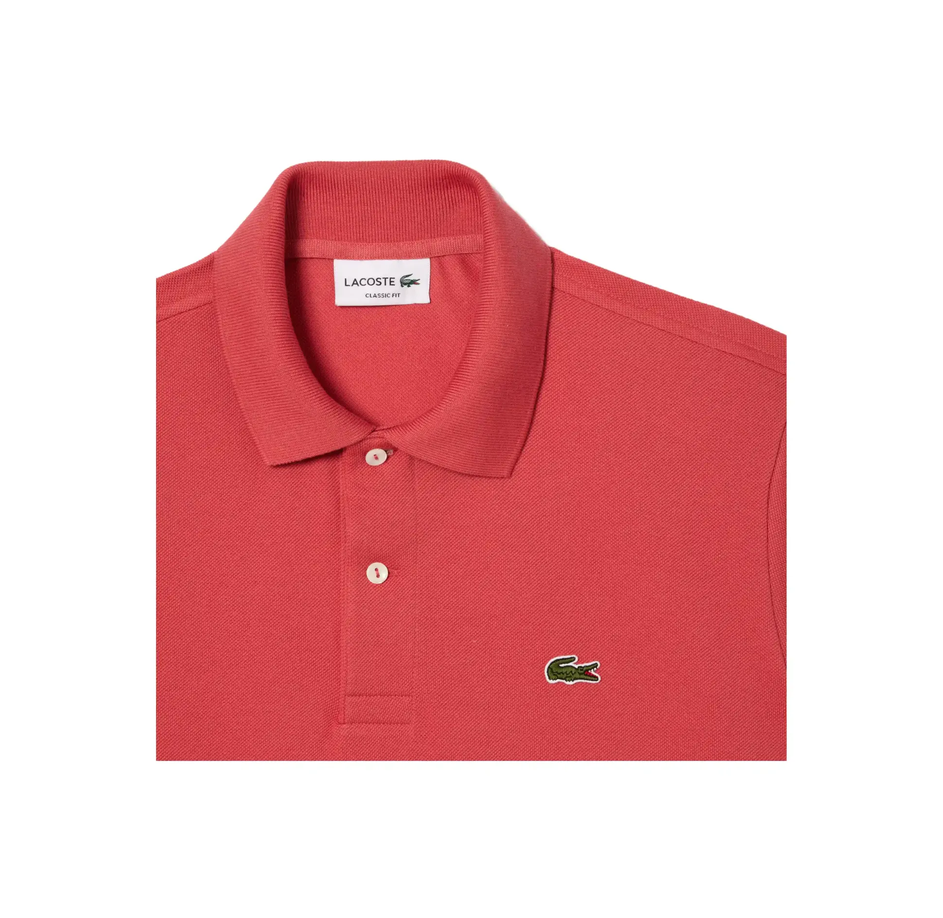 zv_polo_ss__cotone_rosa_1.webp 1212 ZV9 POLO SS COTONE ROSA